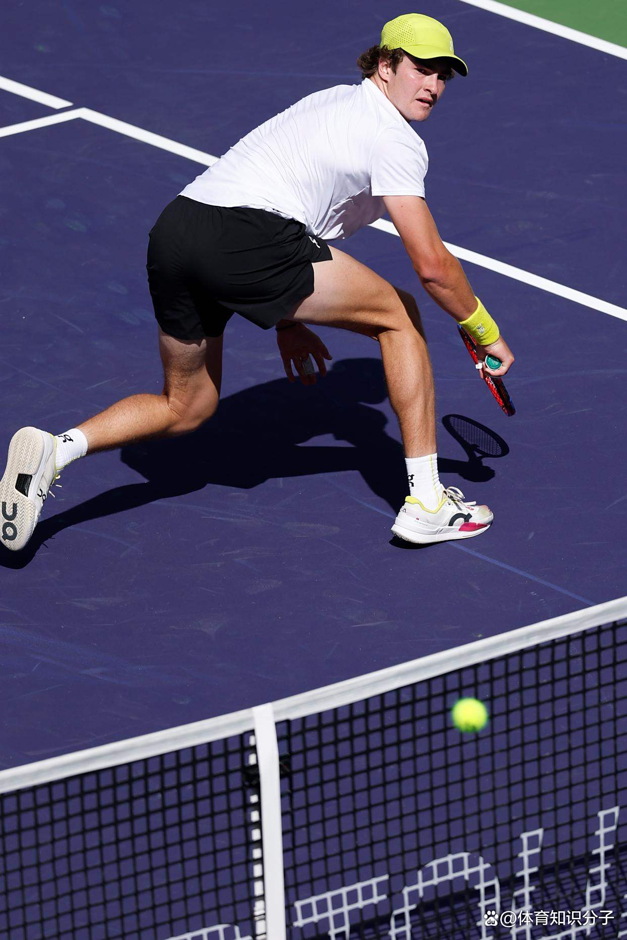 爱游戏精品手游合集费德勒迎来二十赛季出色发挥，日本队观众热烈欢呼！