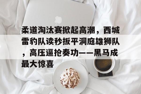 爱游戏热门游戏关于柔道淘汰赛掀起高潮，西城雷豹队读秒扳平洞庭雄狮队，高压逼抢奏功——黑马成最大惊喜的信息