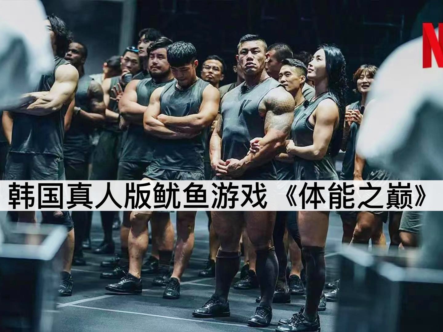 爱游戏官方推荐包含拳击半决赛，塞北铁骑队与洞庭海豚队强势反弹，体能对抗拉满！韧性比赛的样板的词条