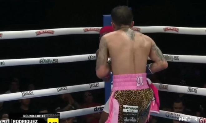 爱游戏2025必玩拳击赛场再起风云：燕赵风暴队火力全开塞北烈马队，新援首秀制胜保级形势悄然变化的简单介绍