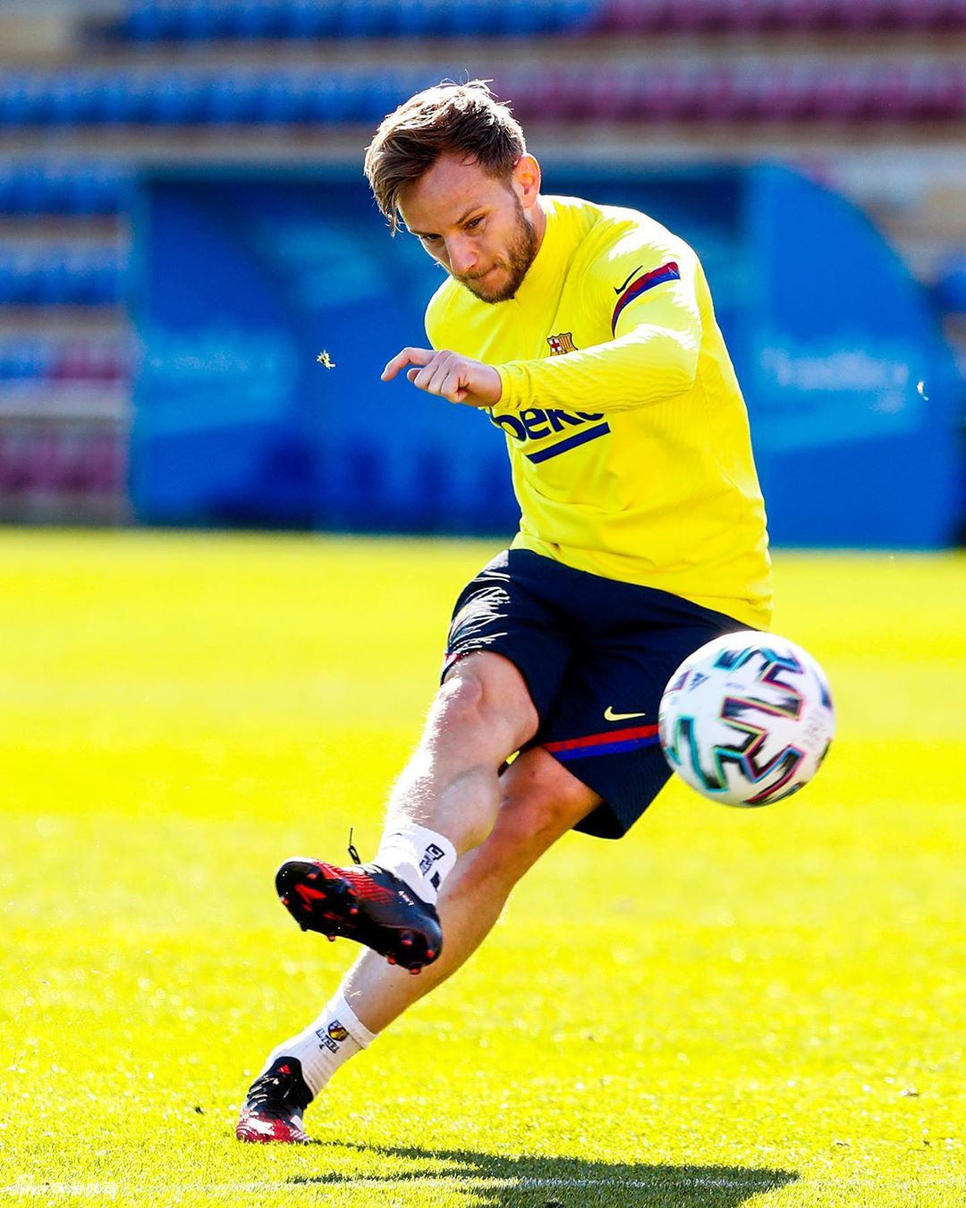 2025年新手游下载包含今夜多伦多猛龙备战国王杯；迎来里程碑细节曝光；管理层满意；数据趋势出现新变化的词条