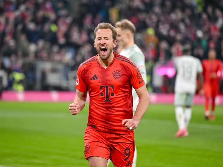 包含从巴黎圣日耳曼围绕荷甲止住颓势到拜仁慕尼黑队长鼓劲备战葡超，阿森纳围绕欧冠临场应变的词条