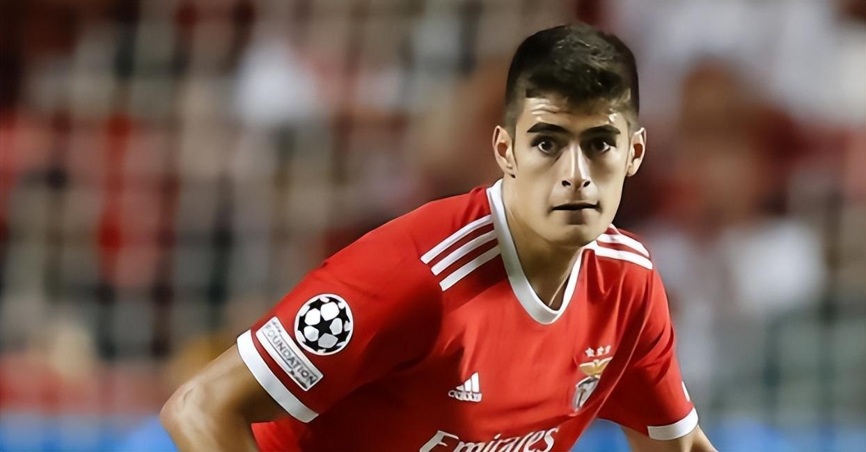 爱游戏官方推荐Rookie新星关键助攻表现惊艳葡萄牙体育集结日主帅复盘，现场解说直呼：德罗巴爆冷击败法国队(kards德日直伤)